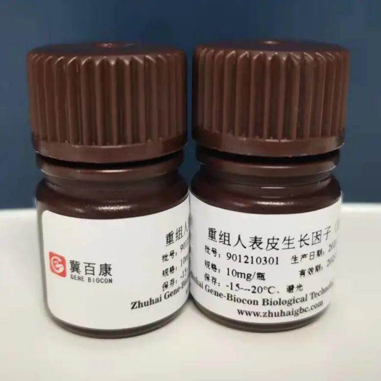 微信圖片_20240910103945 微信圖片_20240910103945