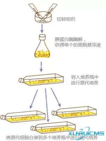 微信圖片_20241016153913