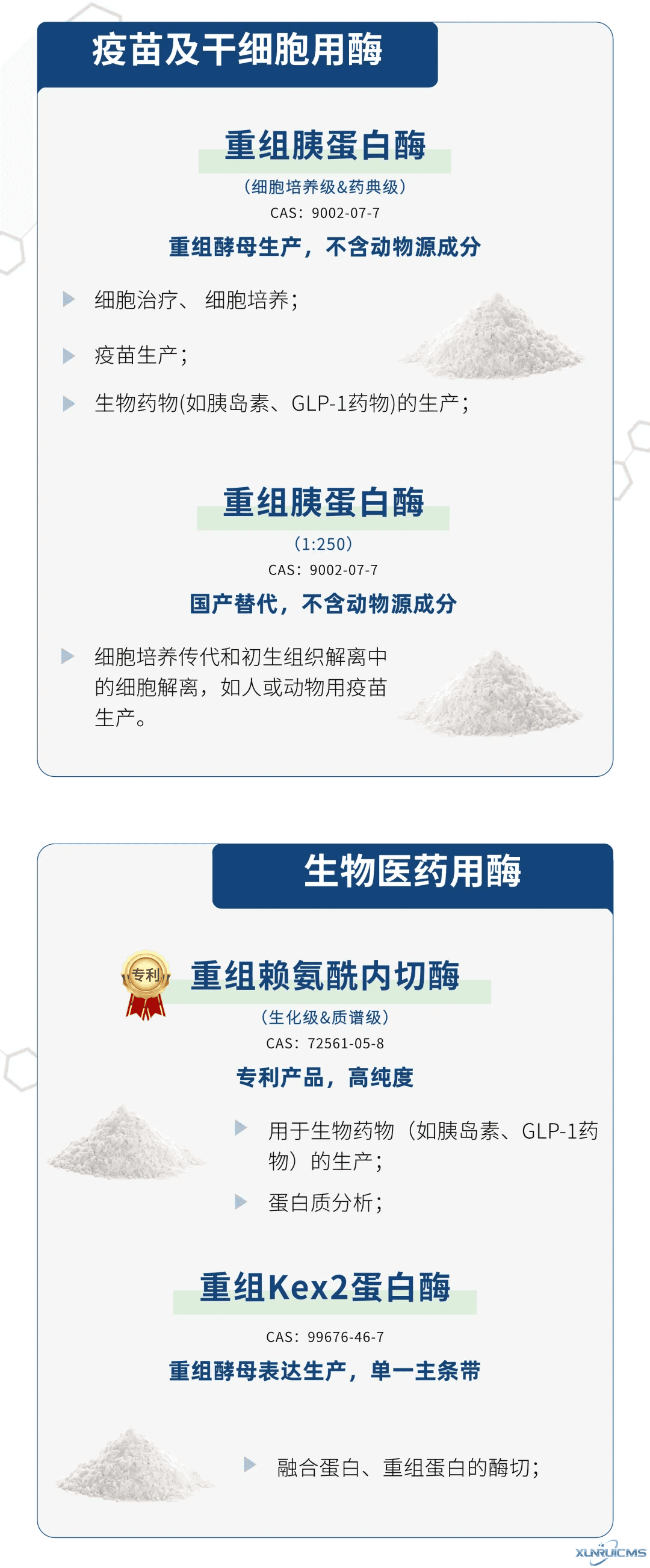 微信圖片_20241016163223