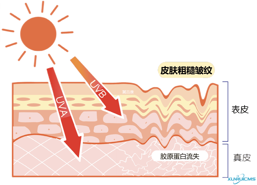 微信圖片_20241023134001