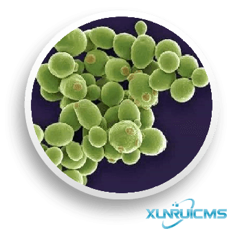 微信圖片_20241024145223